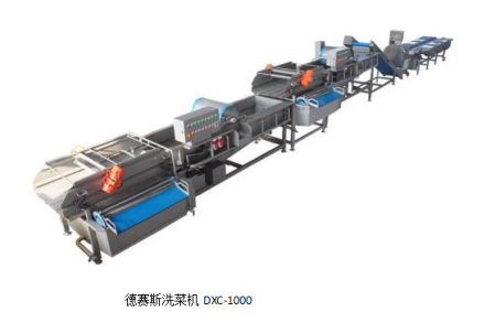 德賽斯洗菜機(jī)