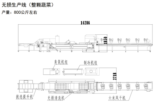 凈菜加工生產(chǎn)線